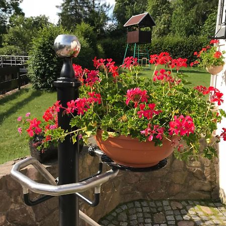 Ferienwohnung Grieser Geising Kültér fotó