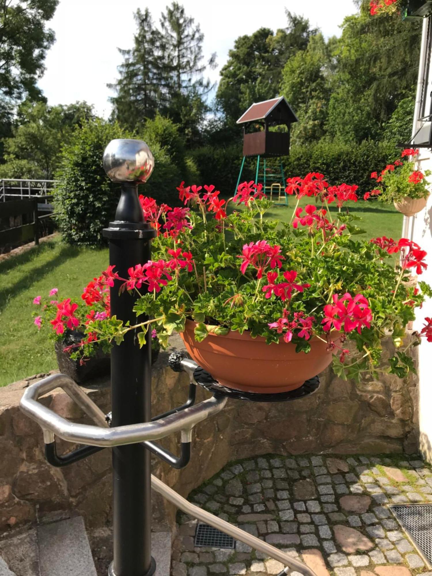 Ferienwohnung Grieser Geising Kültér fotó